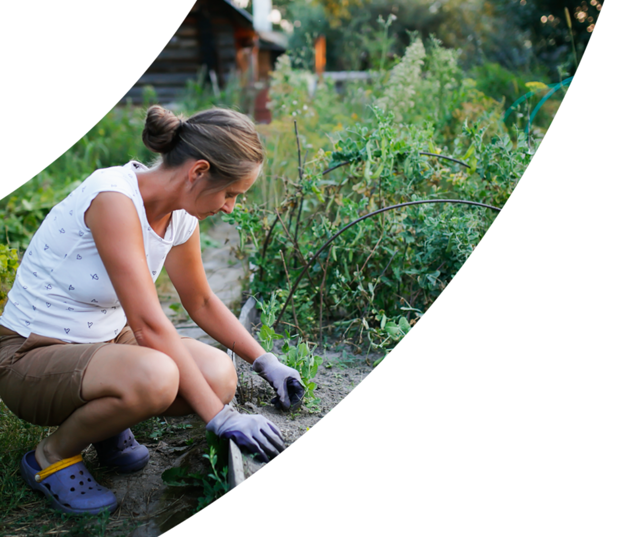 Person working on raised plant bed in community garden