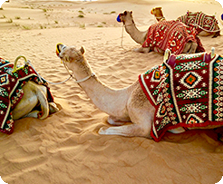 Explore Dubai