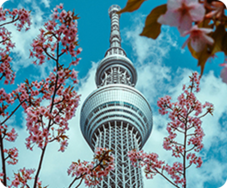 Explore Tokyo